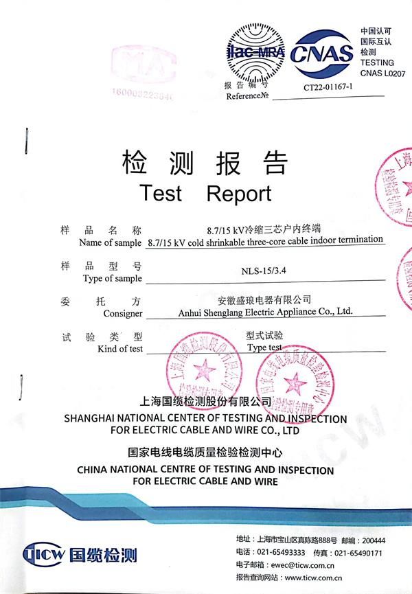 產(chǎn)品檢測報告4